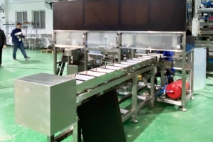 自動(dòng)裝袋機(jī) 方便快捷